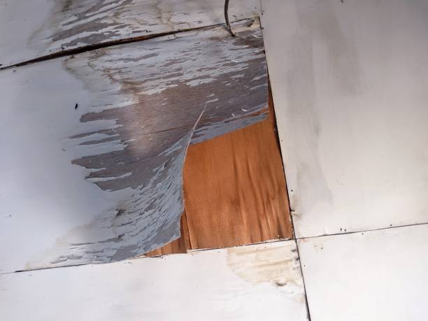Uncover the Expert Tips and Tricks for Restoring Your Storm-Damaged Home in Massachusetts