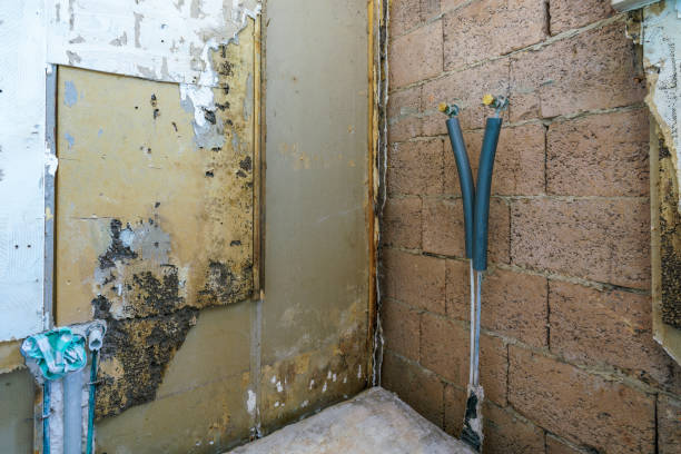 What should residents of Massachusetts do if their property is damaged by a storm?