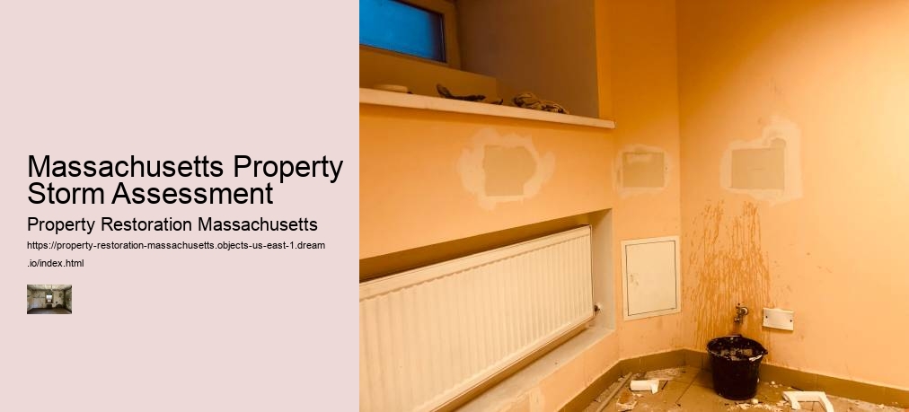 Massachusetts Property Storm Assessment