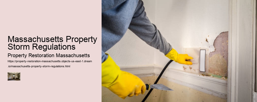 Massachusetts Property Storm Regulations