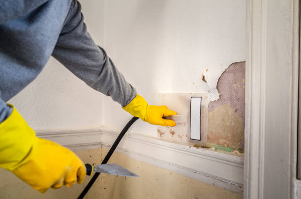 How to Restore Your Storm-Damaged Property in Massachusetts and Bring it Back to Life!
